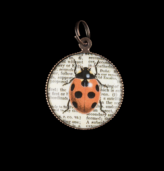 ciondolo in porcellana, coccinella, portafortuna, miglior amico, miglior amica, compleanno